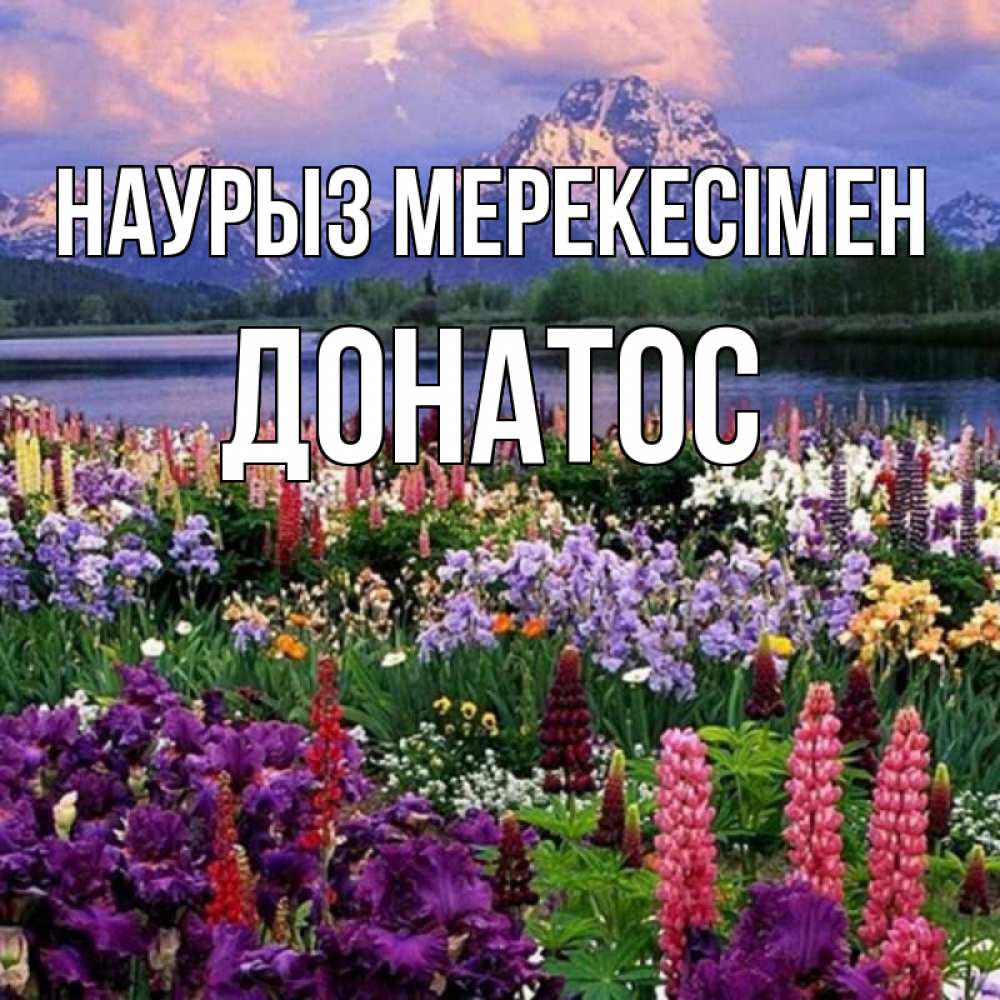 Күн сайын ашық хат с именем, Донатос Наурыз мерекесімен праздник весны наурыз Онлайн тегін жүктеп алу тілектері бар керемет карта 