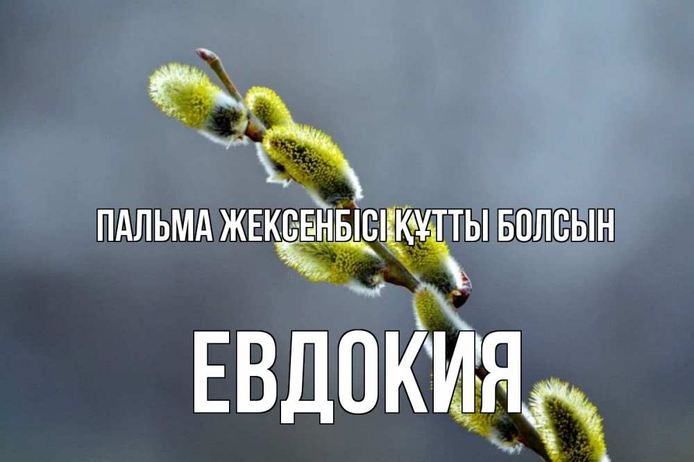 Күн сайын ашық хат с именем, Евдокия Пальма жексенбісі құтты болсын верба Онлайн тегін жүктеп алу тілектері бар керемет карта 