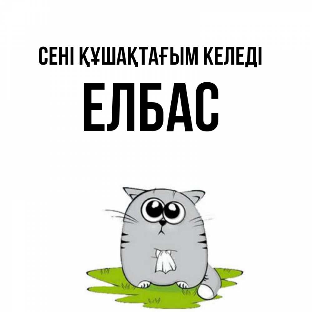 Күн сайын ашық хат с именем, Елбас сені құшақтағым келеді котик теребит платочек сидя на травке Онлайн тегін жүктеп алу тілектері бар керемет карта 