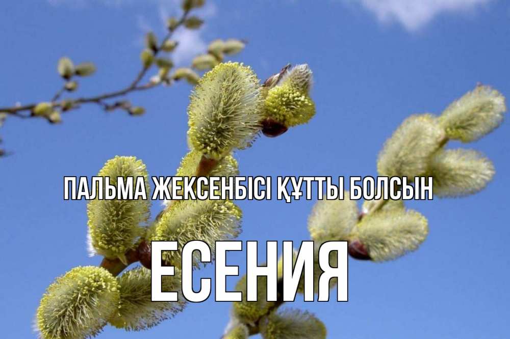 Күн сайын ашық хат с именем, Есения Пальма жексенбісі құтты болсын верба Онлайн тегін жүктеп алу тілектері бар керемет карта 