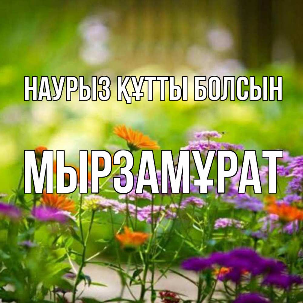 Күн сайын ашық хат с именем, Мырзамұрат Наурыз құтты болсын цветы Онлайн тегін жүктеп алу тілектері бар керемет карта 