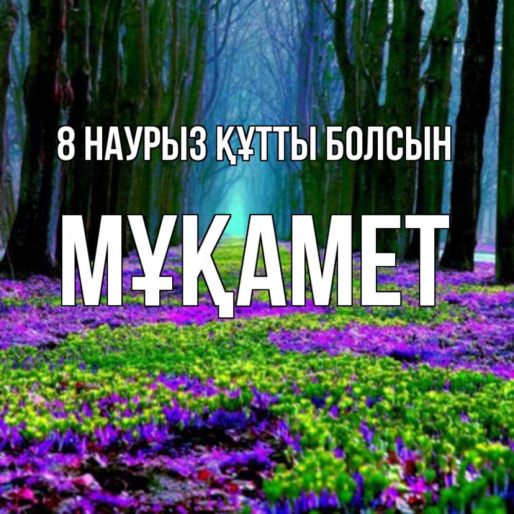 Күн сайын ашық хат с именем, МҰҚАМЕТ 8 наурыз құтты болсын фиолетовые цветы в лесу 1 Онлайн тегін жүктеп алу тілектері бар керемет карта 