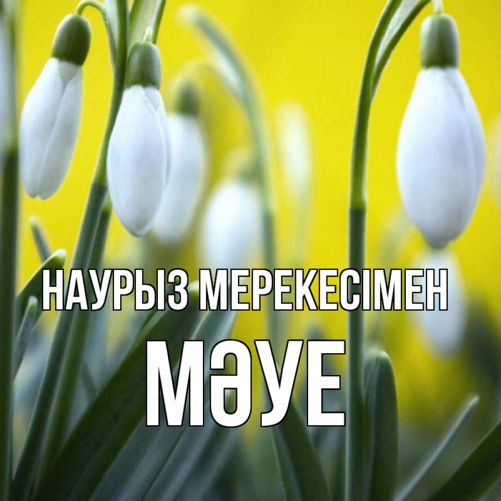 Күн сайын ашық хат с именем, МӘУЕ Наурыз мерекесімен весенние цветы Онлайн тегін жүктеп алу тілектері бар керемет карта 