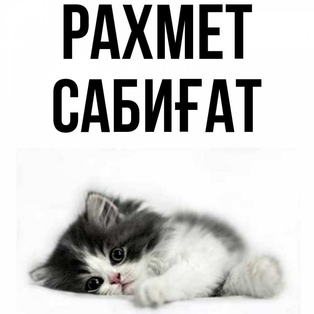 Күн сайын ашық хат с именем, САБИҒАТ рахмет черный и белый кот Онлайн тегін жүктеп алу тілектері бар керемет карта 