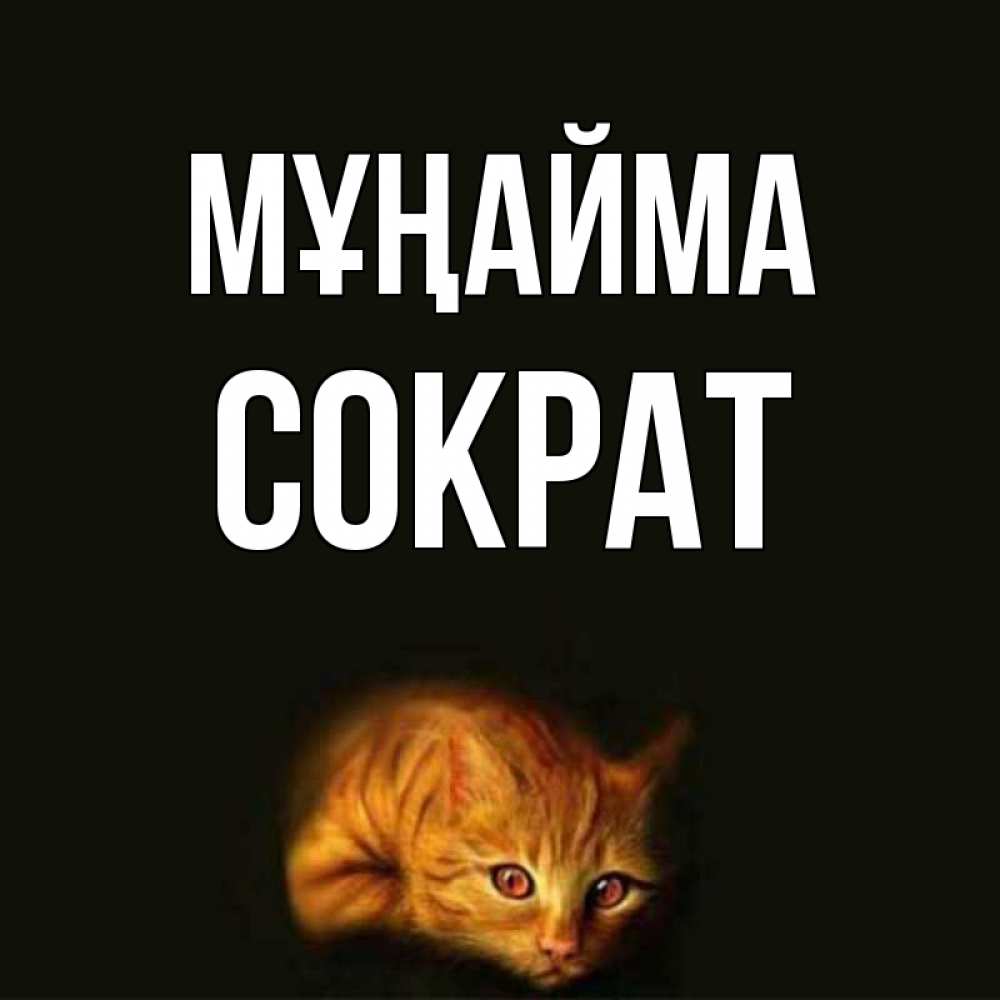 Күн сайын ашық хат с именем, Сократ Мұңайма лежащий кот в темноте Онлайн тегін жүктеп алу тілектері бар керемет карта 