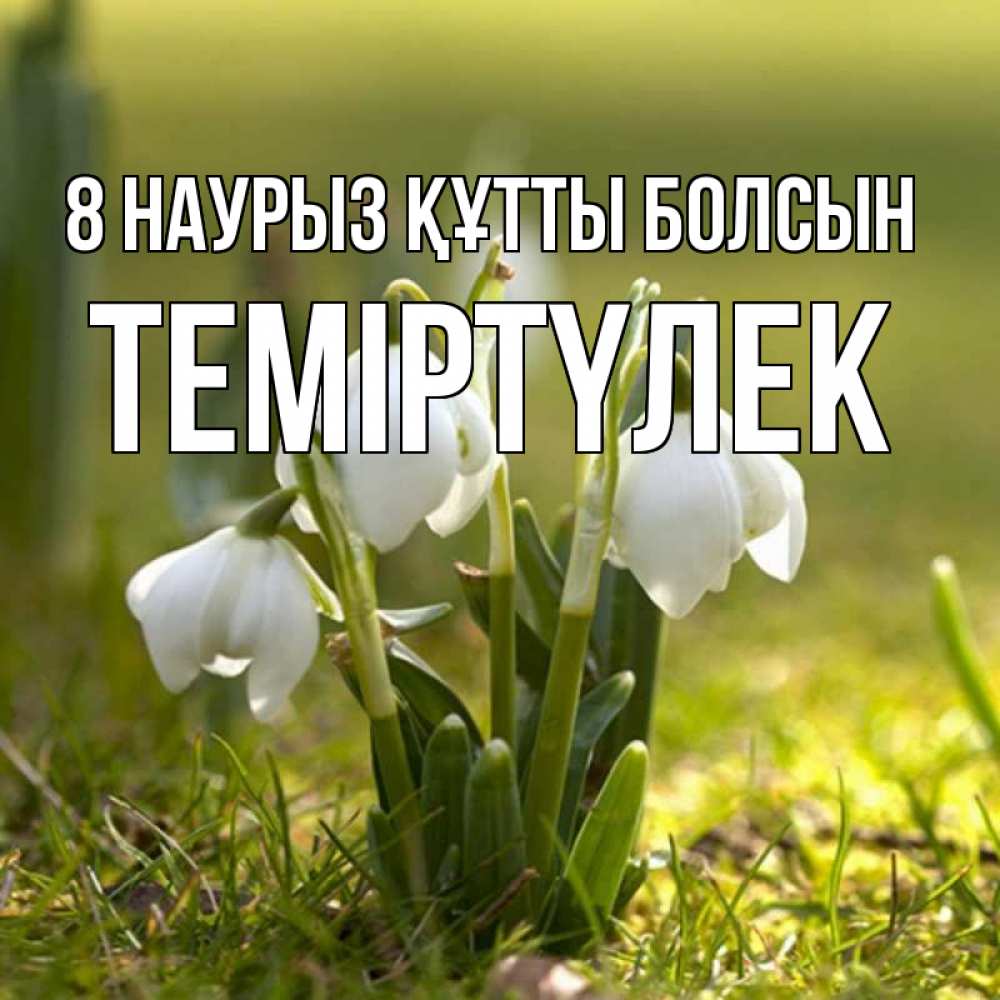 Күн сайын ашық хат с именем, ТЕМІРТҮЛЕК 8 наурыз құтты болсын ранние цветы 2 Онлайн тегін жүктеп алу тілектері бар керемет карта 