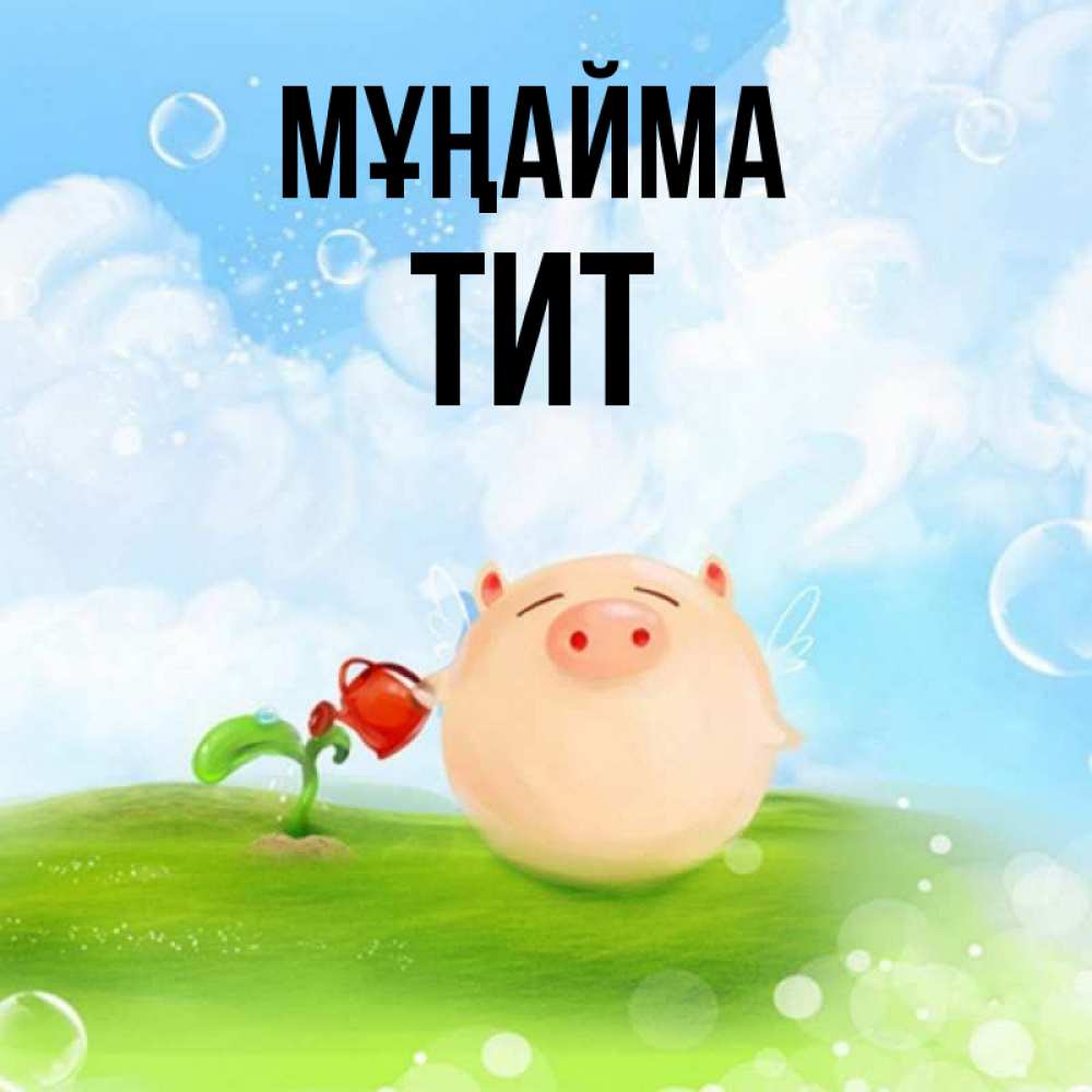 Күн сайын ашық хат с именем, Тит Мұңайма поливает цветок порося Онлайн тегін жүктеп алу тілектері бар керемет карта 