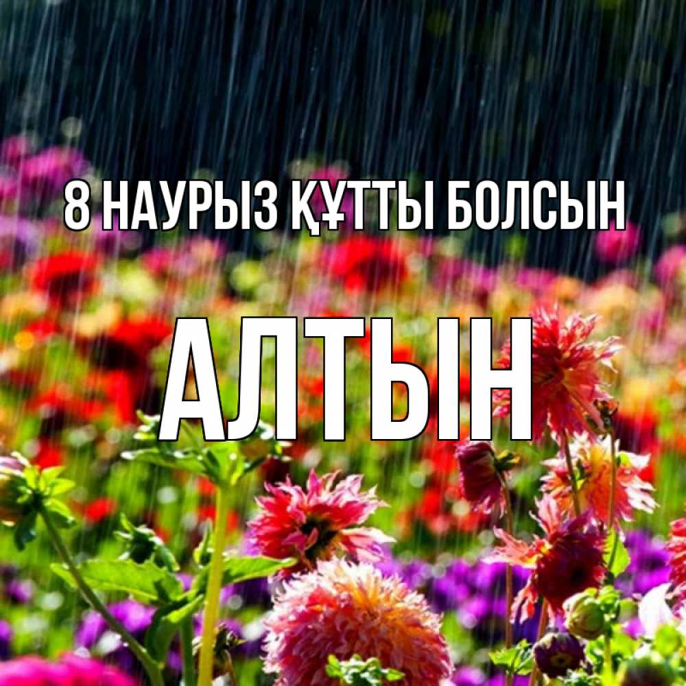 Күн сайын ашық хат с именем, АЛТЫН 8 наурыз құтты болсын цветы под дождиком к международному женскому дню Онлайн тегін жүктеп алу тілектері бар керемет карта 