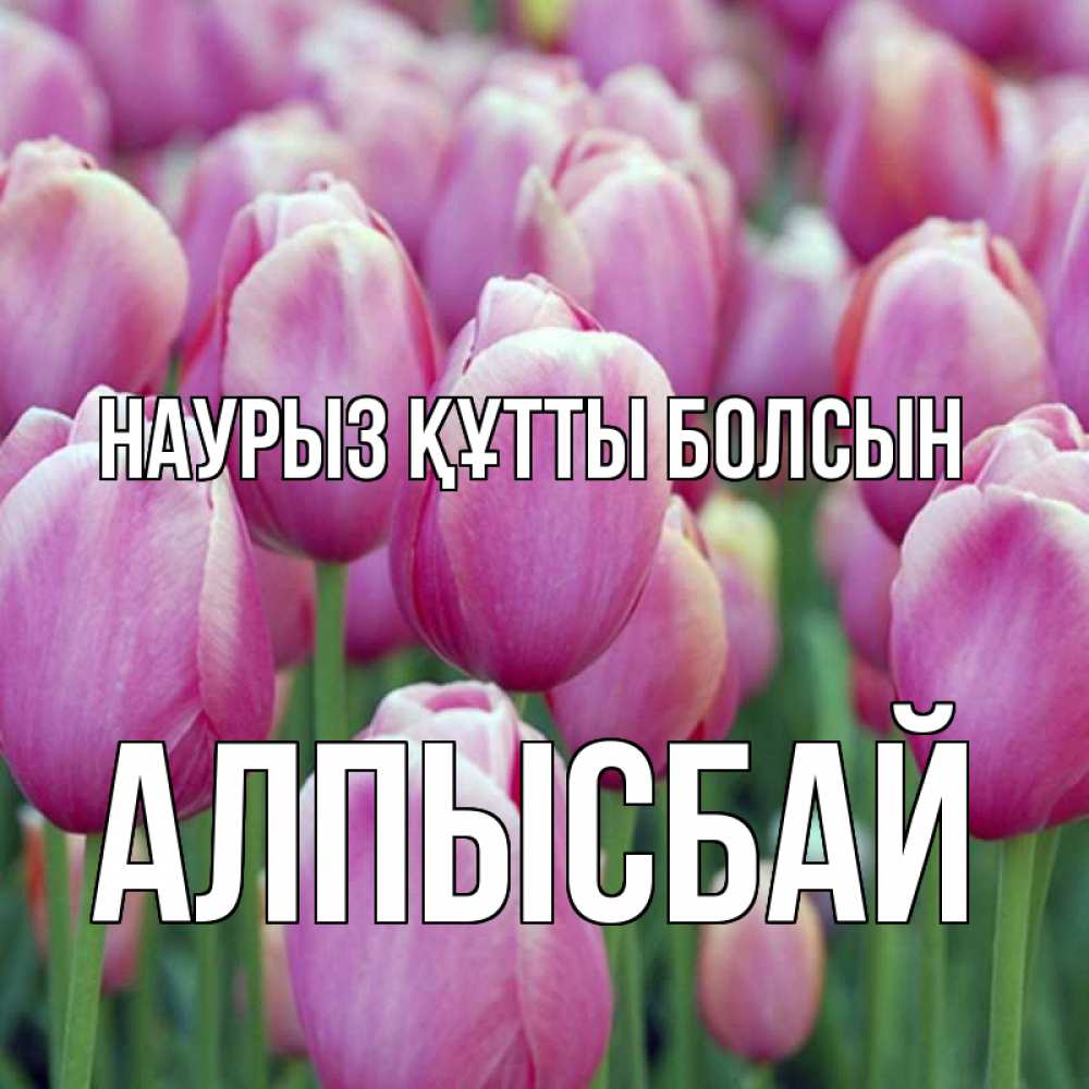 Күн сайын ашық хат с именем, Алпысбай Наурыз құтты болсын на наурыз  день 3 Онлайн тегін жүктеп алу тілектері бар керемет карта 