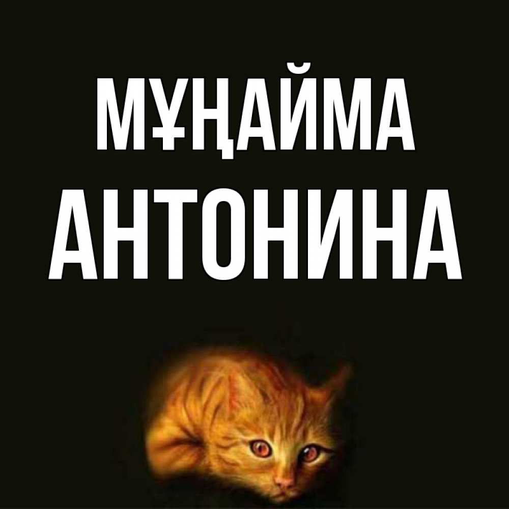 Күн сайын ашық хат с именем, Антонина Мұңайма лежащий кот в темноте Онлайн тегін жүктеп алу тілектері бар керемет карта 