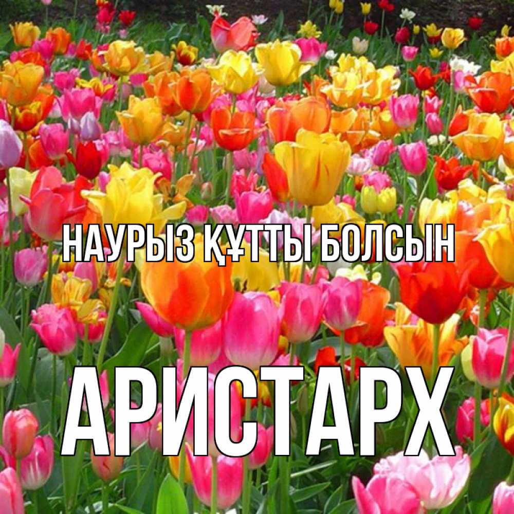 Күн сайын ашық хат с именем, Аристарх Наурыз құтты болсын на наурыз  ура ура Онлайн тегін жүктеп алу тілектері бар керемет карта 