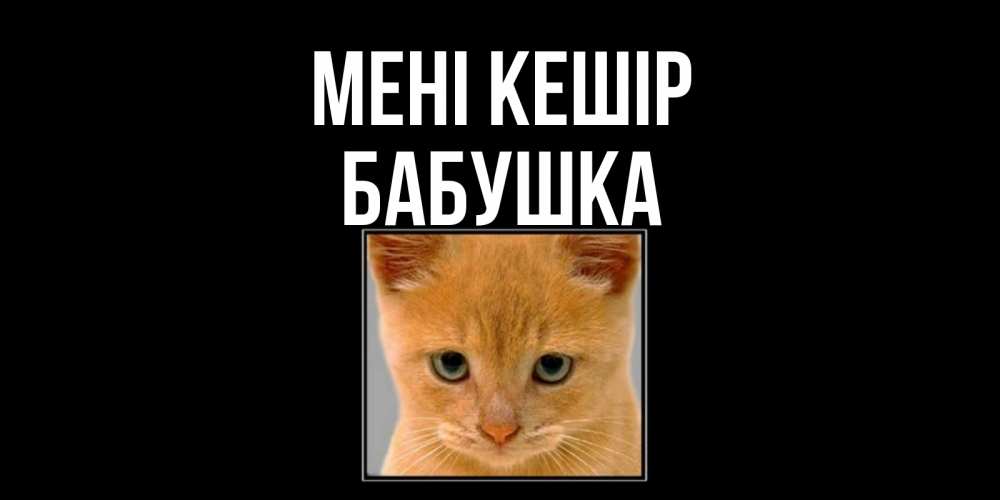 Күн сайын ашық хат с именем, Бабушка Мені кешір рыжий грустный кот просит прощения Онлайн тегін жүктеп алу тілектері бар керемет карта 