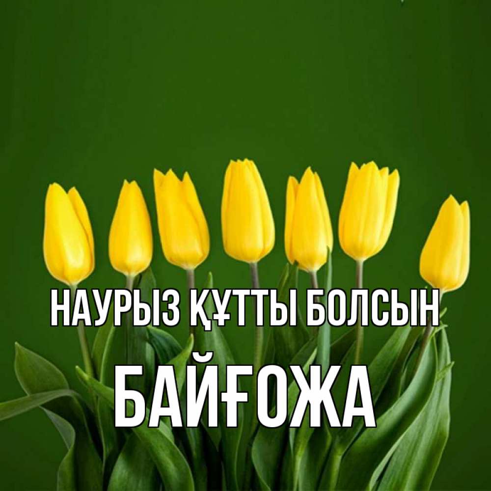 Күн сайын ашық хат с именем, Байғожа Наурыз құтты болсын желтого цвета 3 Онлайн тегін жүктеп алу тілектері бар керемет карта 