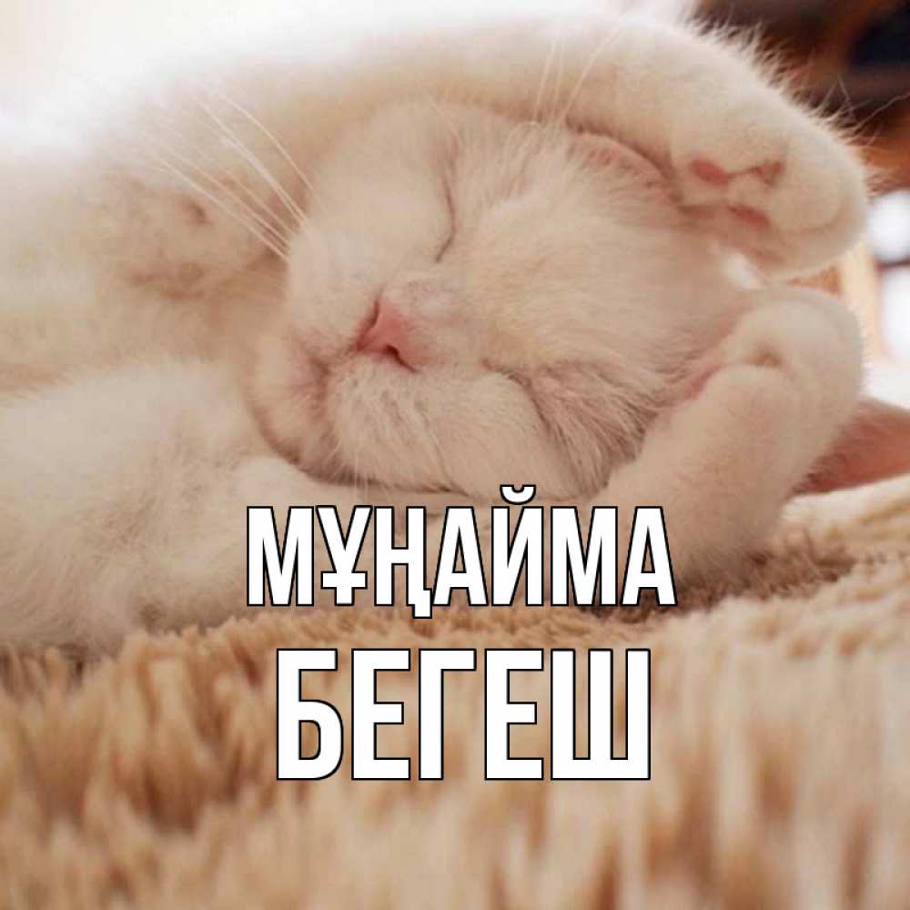 Күн сайын ашық хат с именем, Бегеш Мұңайма белый кот Онлайн тегін жүктеп алу тілектері бар керемет карта 
