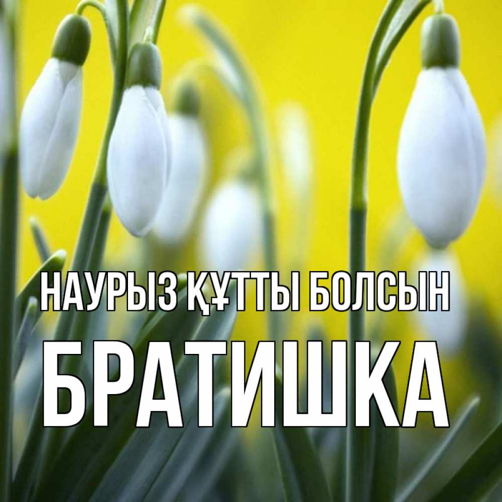 Күн сайын ашық хат с именем, Братишка Наурыз құтты болсын весенние цветы Онлайн тегін жүктеп алу тілектері бар керемет карта 