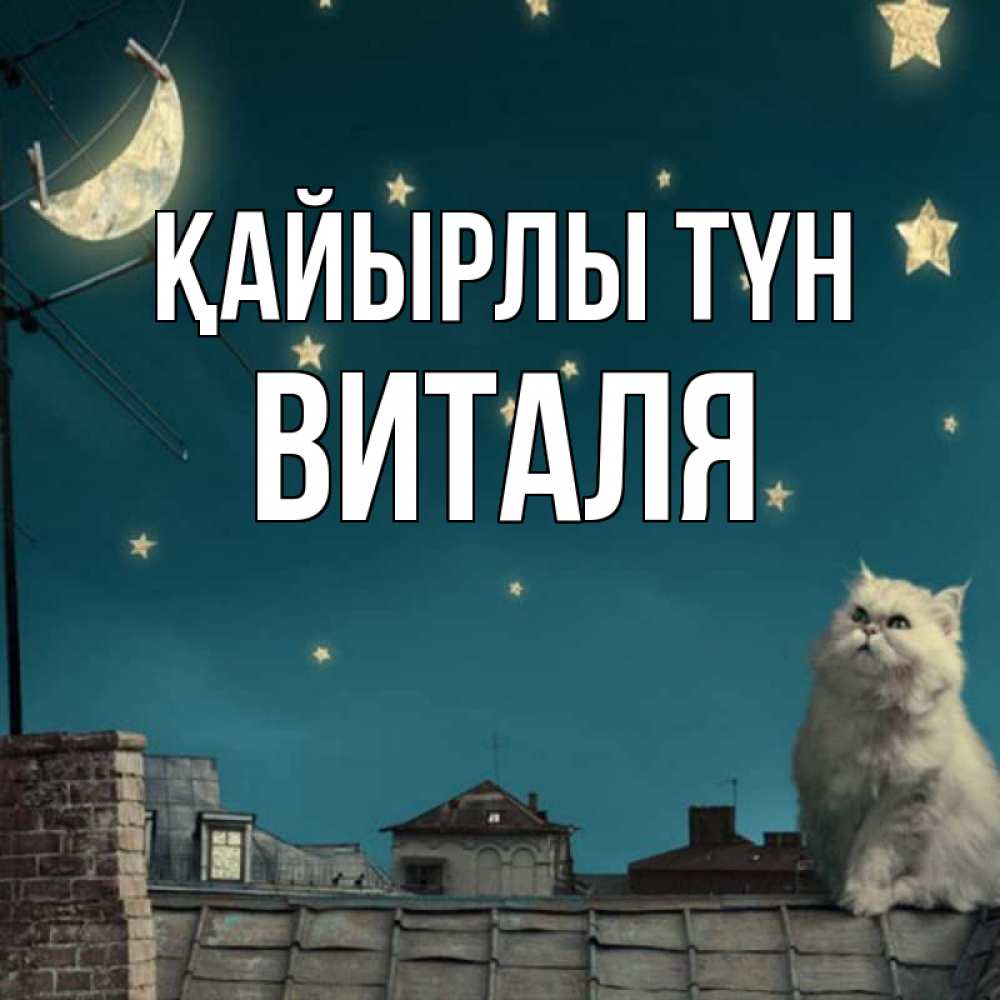 Күн сайын ашық хат с именем, Виталя Қайырлы түн белый кот сидит на крыше Онлайн тегін жүктеп алу тілектері бар керемет карта 