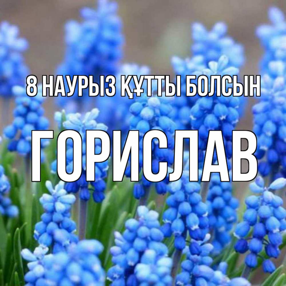 Күн сайын ашық хат с именем, Горислав 8 наурыз құтты болсын Поздравительная открытка для женщин с цветами на праздничную дату Онлайн тегін жүктеп алу тілектері бар керемет карта 