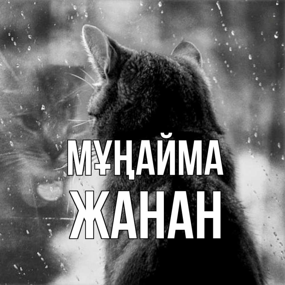 Күн сайын ашық хат с именем, ЖАНАН Мұңайма отражение кота 1 Онлайн тегін жүктеп алу тілектері бар керемет карта 