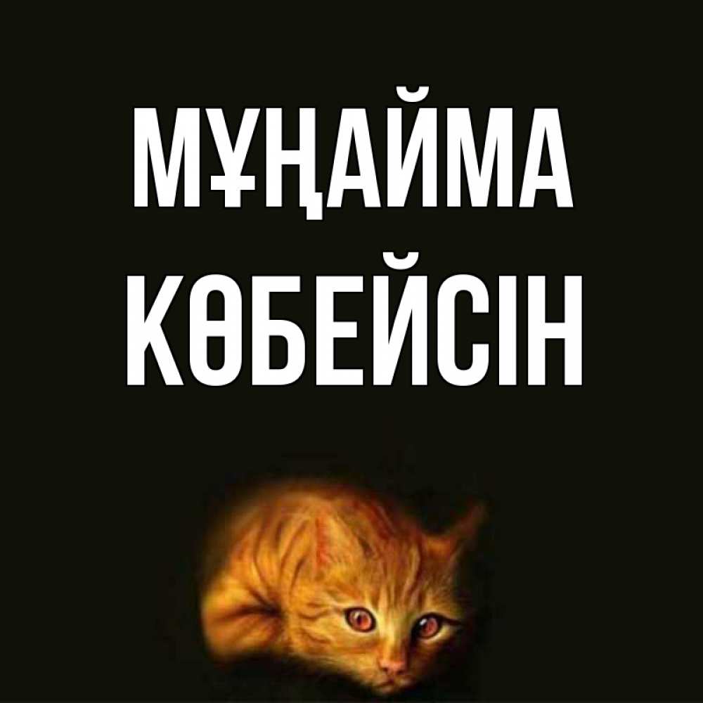 Күн сайын ашық хат с именем, Көбейсін Мұңайма лежащий кот в темноте Онлайн тегін жүктеп алу тілектері бар керемет карта 