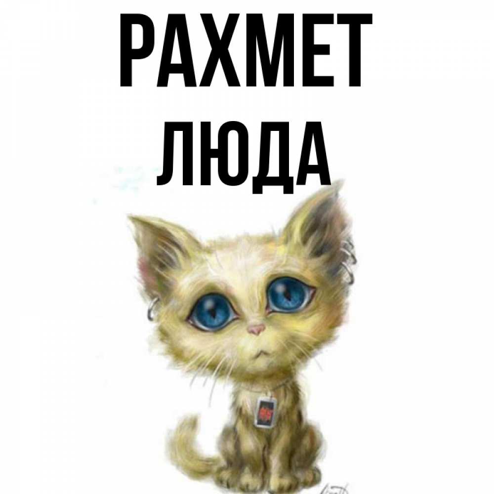 Күн сайын ашық хат с именем, Люда рахмет рисованный кот благодарит вас Онлайн тегін жүктеп алу тілектері бар керемет карта 