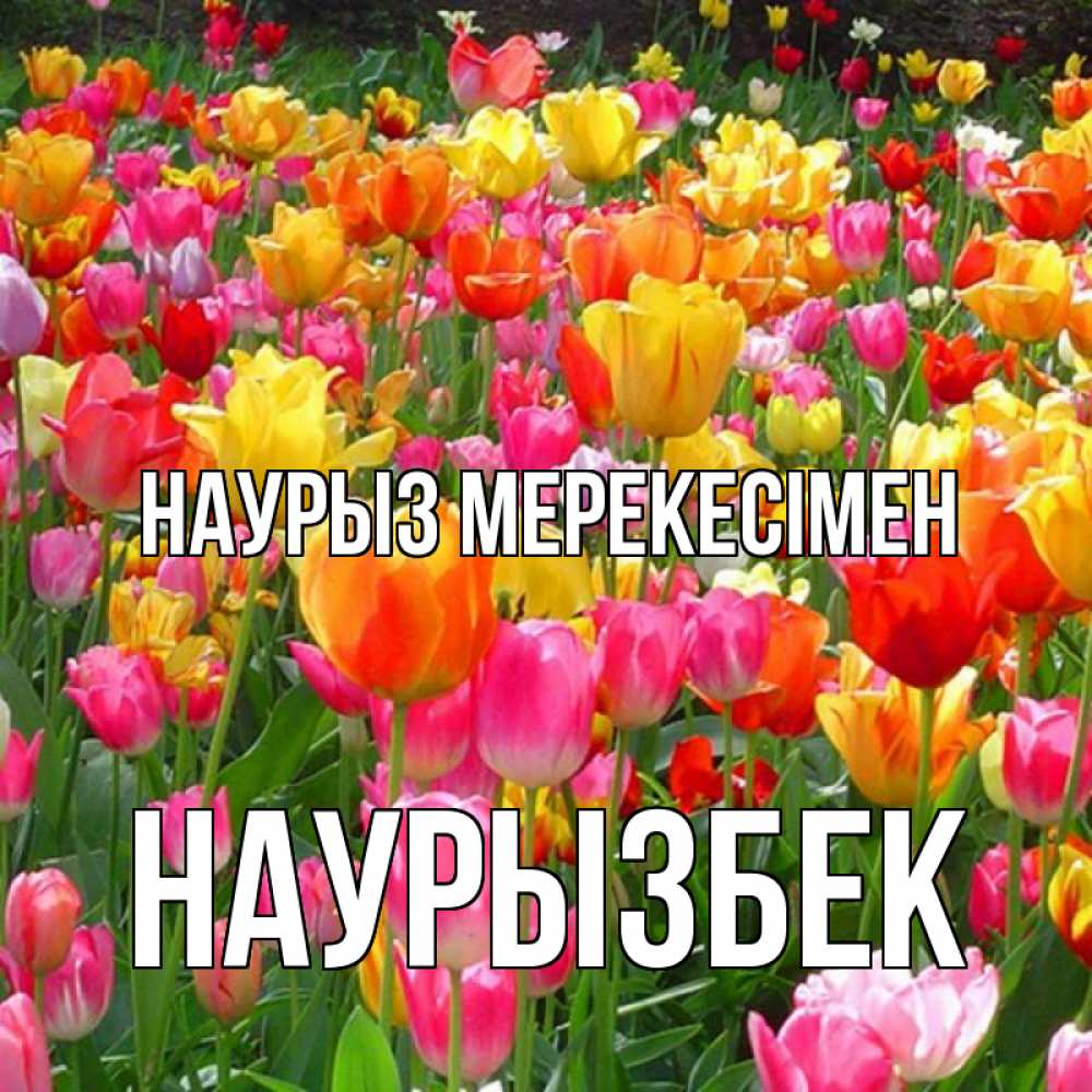 Күн сайын ашық хат с именем, Наурызбек Наурыз мерекесімен праздник весны наурыз 4 Онлайн тегін жүктеп алу тілектері бар керемет карта 