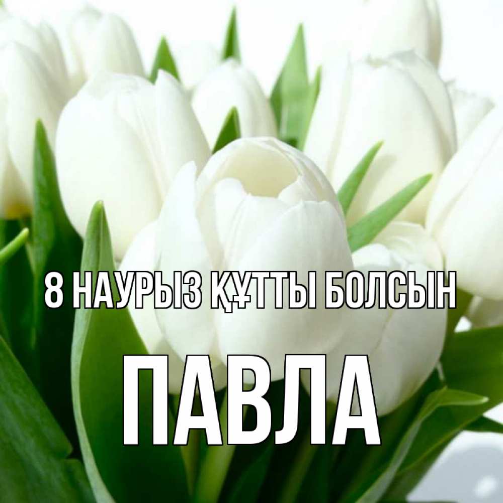 Күн сайын ашық хат с именем, Павла 8 наурыз құтты болсын цветы Онлайн тегін жүктеп алу тілектері бар керемет карта 
