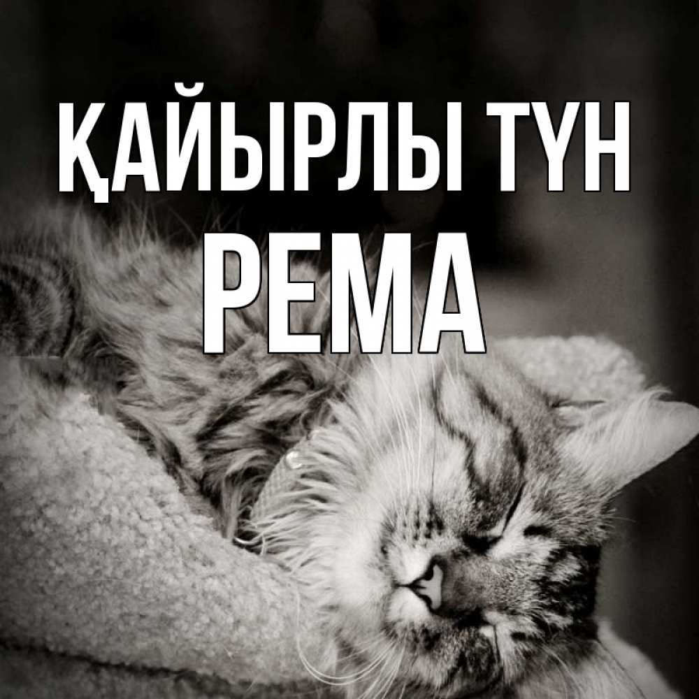 Күн сайын ашық хат с именем, Рема Қайырлы түн котярик пушистый Онлайн тегін жүктеп алу тілектері бар керемет карта 