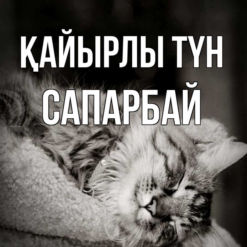 Күн сайын ашық хат с именем, САПАРБАЙ Қайырлы түн котярик пушистый Онлайн тегін жүктеп алу тілектері бар керемет карта 