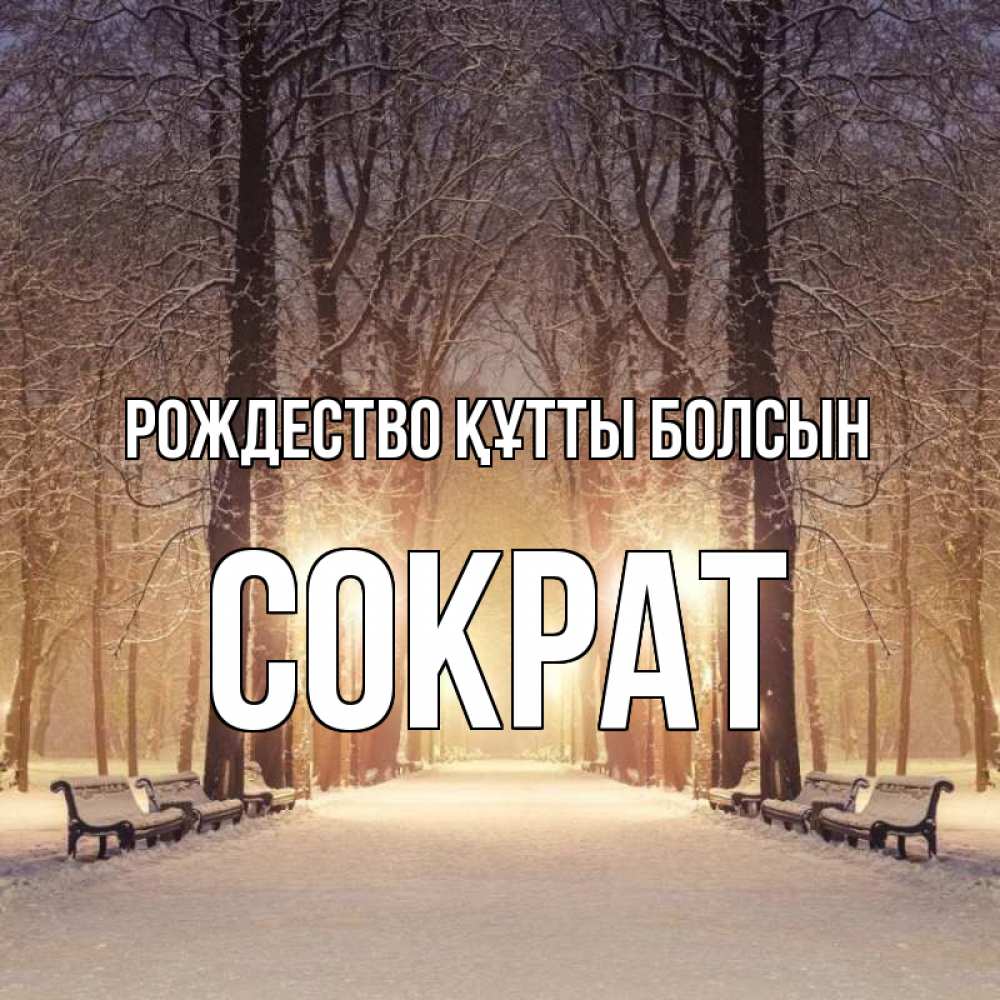 Күн сайын ашық хат с именем, Сократ Рождество құтты болсын зима, парк, фонарь, лес Онлайн тегін жүктеп алу тілектері бар керемет карта 