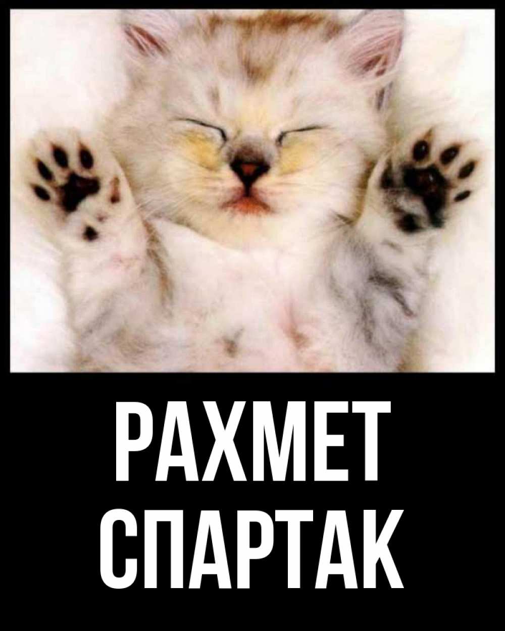 Күн сайын ашық хат с именем, Спартак рахмет маленький котенок Онлайн тегін жүктеп алу тілектері бар керемет карта 