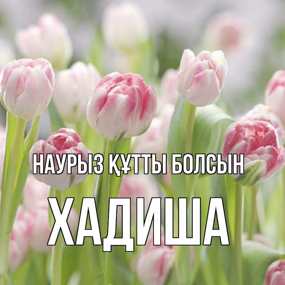Күн сайын ашық хат с именем, ХАДИША Наурыз құтты болсын цветы Онлайн тегін жүктеп алу тілектері бар керемет карта 