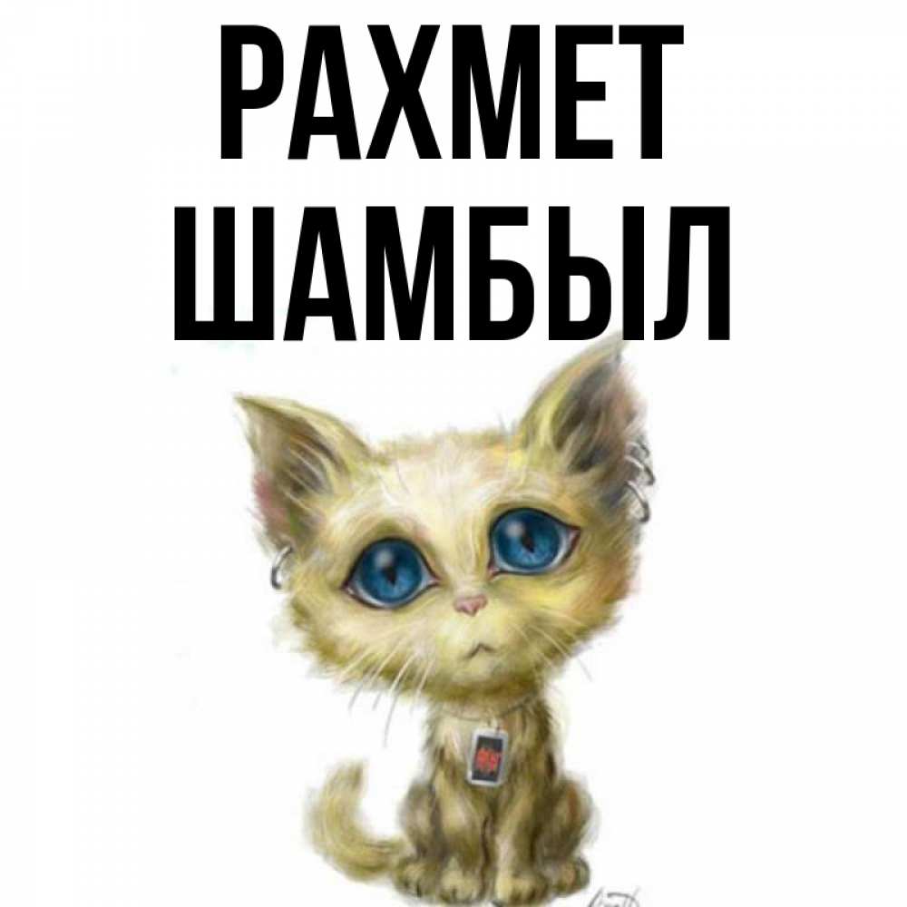 Күн сайын ашық хат с именем, ШАМБЫЛ рахмет рисованный кот благодарит вас Онлайн тегін жүктеп алу тілектері бар керемет карта 