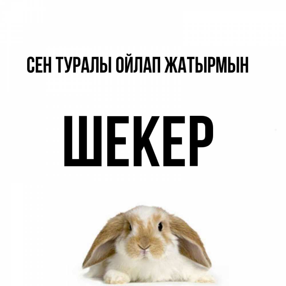 Күн сайын ашық хат с именем, ШЕКЕР Сен туралы ойлап жатырмын подписать своими руками онлайн Онлайн тегін жүктеп алу тілектері бар керемет карта 