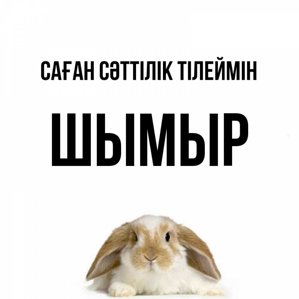 Күн сайын ашық хат с именем, ШЫМЫР Саған сәттілік тілеймін открытки с произвольным текстом который можно вставить в открытку и создать ее самостоятельно бесплатно онлайн Онлайн тегін жүктеп алу тілектері бар керемет карта 