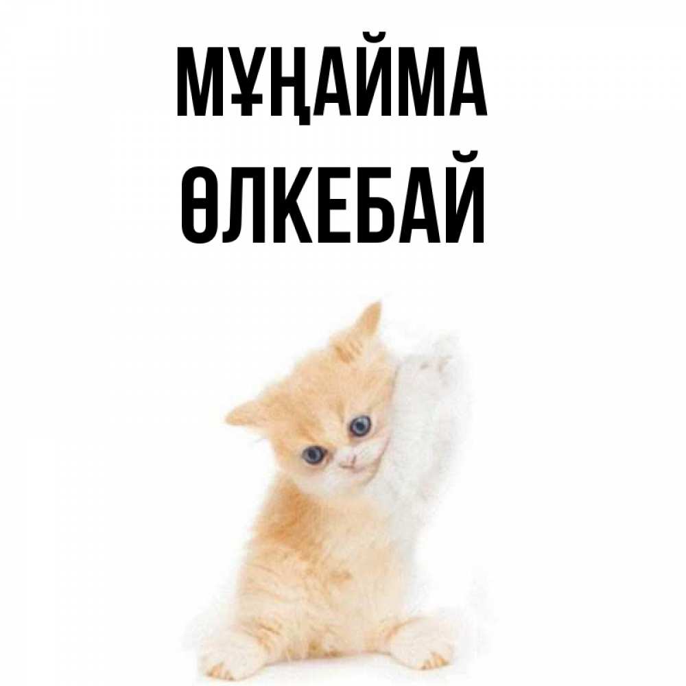 Күн сайын ашық хат с именем, ӨЛКЕБАЙ Мұңайма просящий кот Онлайн тегін жүктеп алу тілектері бар керемет карта 