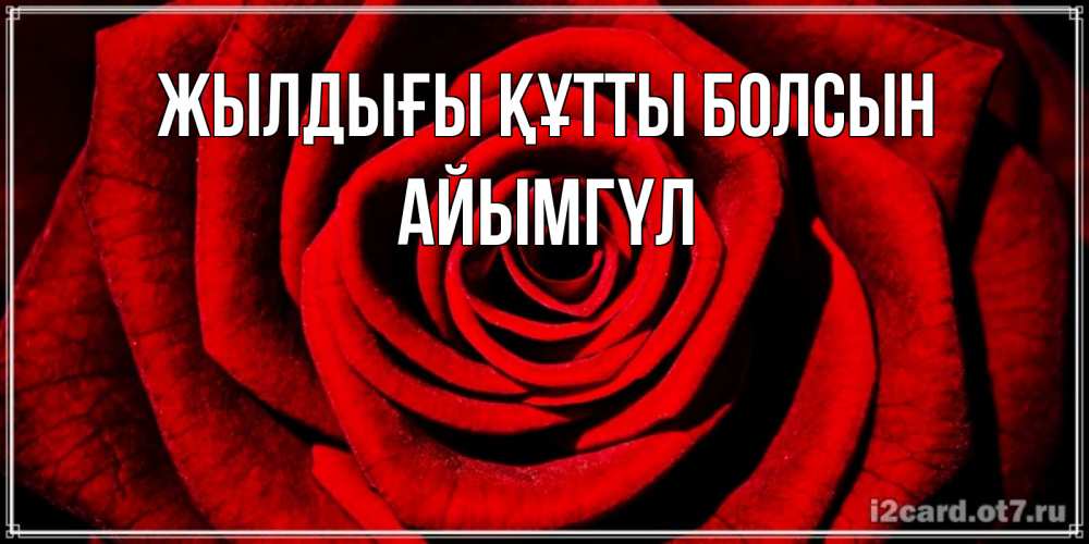 Күн сайын ашық хат с именем, АЙЫМГҮЛ Жылдығы құтты болсын алая роза Онлайн тегін жүктеп алу тілектері бар керемет карта 