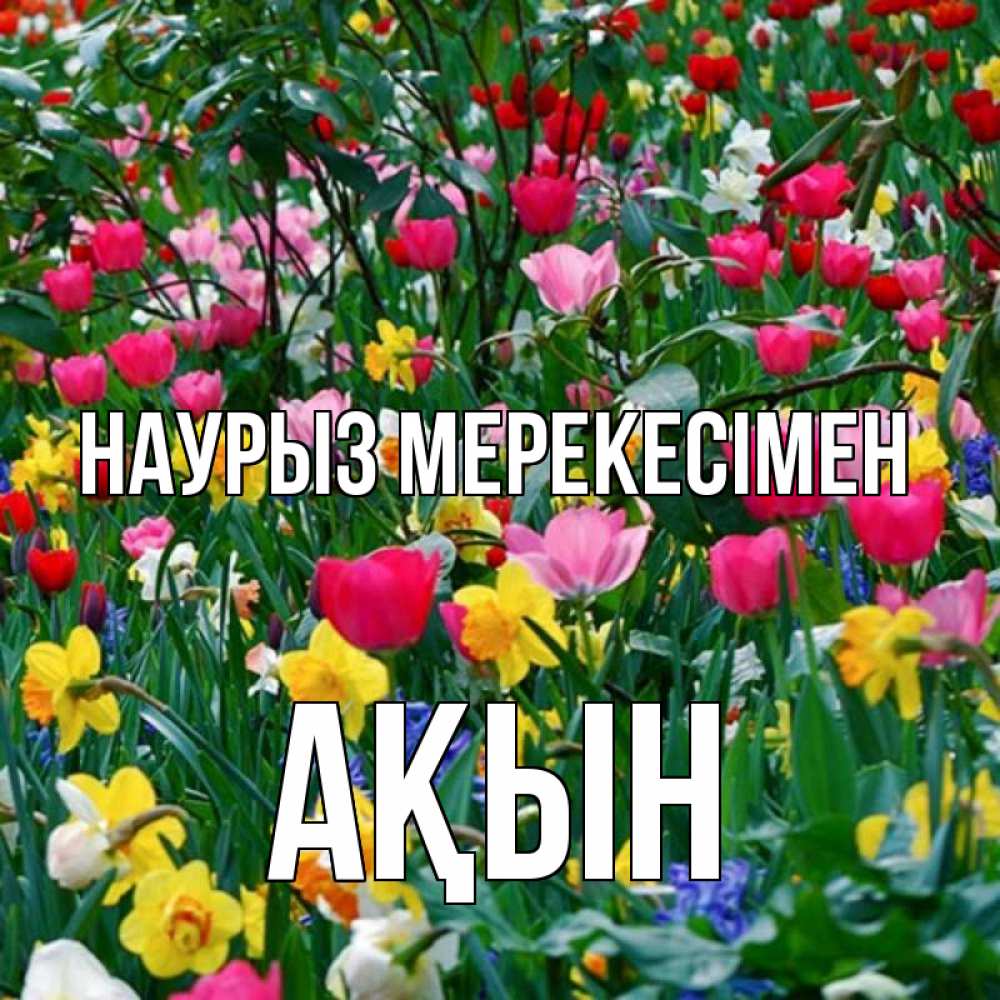 Күн сайын ашық хат с именем, Ақын Наурыз мерекесімен с наурызом праздником весны поздравления для женщины Онлайн тегін жүктеп алу тілектері бар керемет карта 