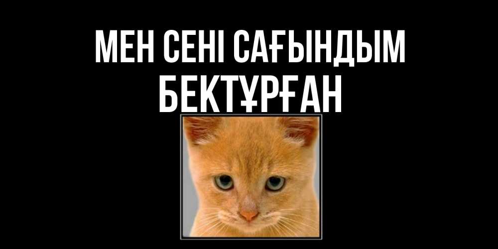 Күн сайын ашық хат с именем, Бектұрған Мен сені сағындым открытки рыжий котенок скучает по тебе Онлайн тегін жүктеп алу тілектері бар керемет карта 