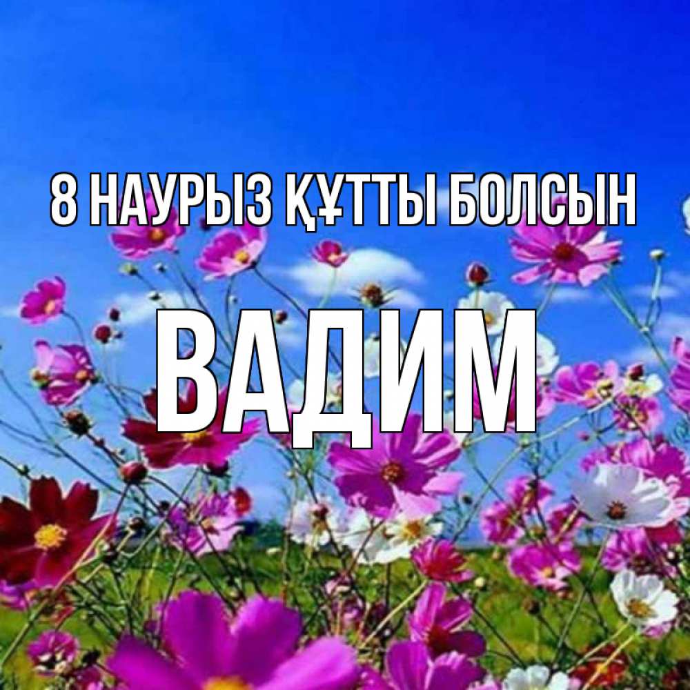 Күн сайын ашық хат с именем, Вадим 8 наурыз құтты болсын цветы Онлайн тегін жүктеп алу тілектері бар керемет карта 