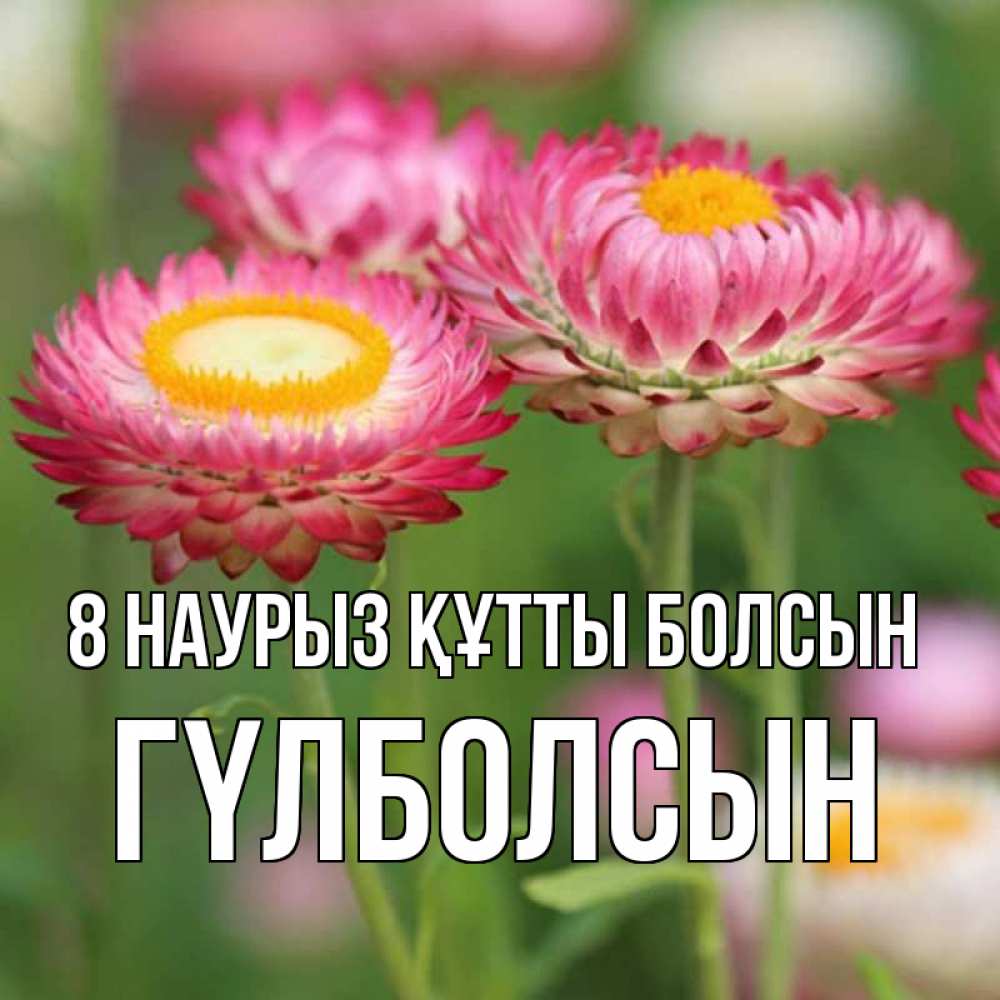 Күн сайын ашық хат с именем, ГҮЛБОЛСЫН 8 наурыз құтты болсын подарок на международный женский день Онлайн тегін жүктеп алу тілектері бар керемет карта 