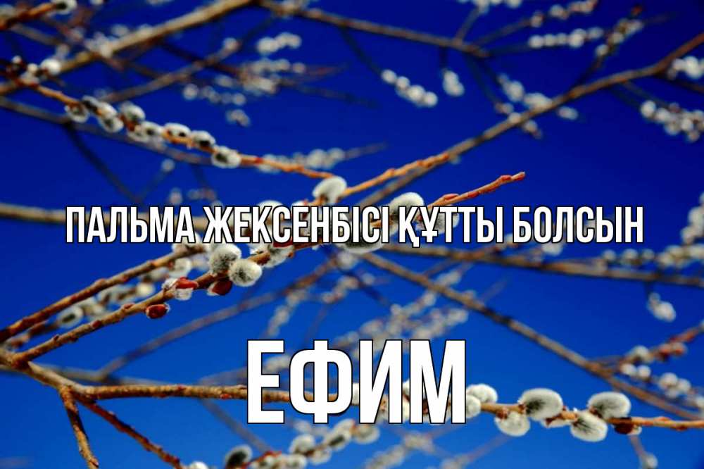 Күн сайын ашық хат с именем, Ефим Пальма жексенбісі құтты болсын верба Онлайн тегін жүктеп алу тілектері бар керемет карта 