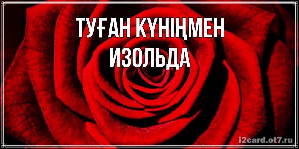 Күн сайын ашық хат с именем, Изольда Туған күніңмен алая роза Онлайн тегін жүктеп алу тілектері бар керемет карта 