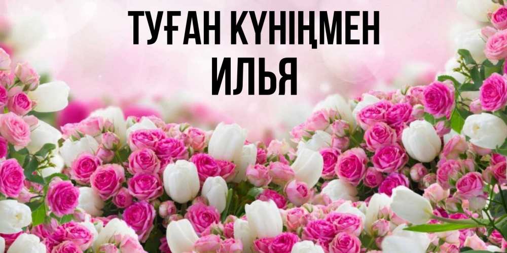 Күн сайын ашық хат с именем, Илья Туған күніңмен открытка с разными розами Онлайн тегін жүктеп алу тілектері бар керемет карта 
