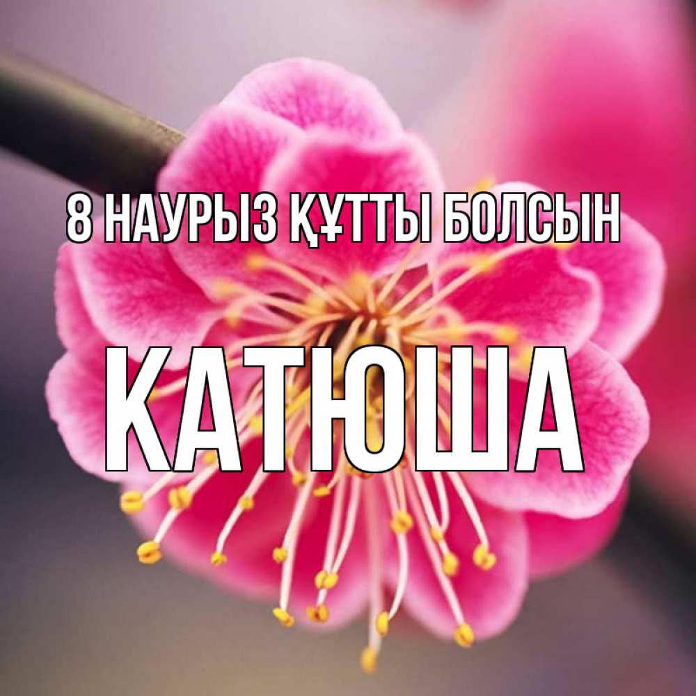 Күн сайын ашық хат с именем, Катюша 8 наурыз құтты болсын цветы Онлайн тегін жүктеп алу тілектері бар керемет карта 