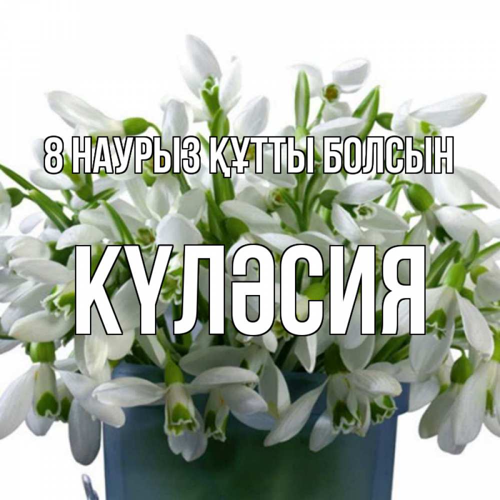 Күн сайын ашық хат с именем, КҮЛӘСИЯ 8 наурыз құтты болсын цветы к международному женскому дню Онлайн тегін жүктеп алу тілектері бар керемет карта 