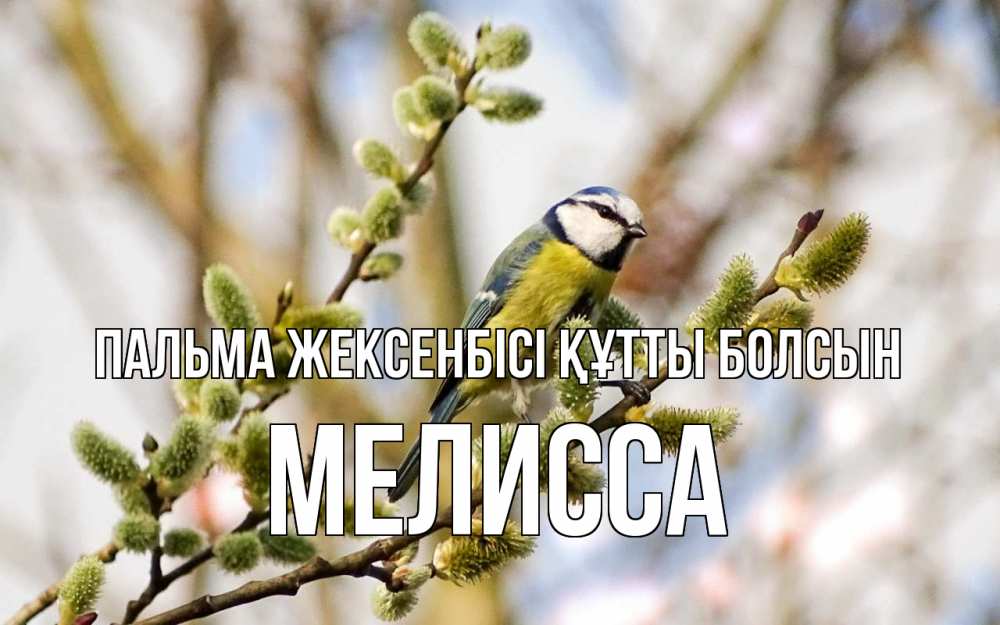 Күн сайын ашық хат с именем, Мелисса Пальма жексенбісі құтты болсын верба Онлайн тегін жүктеп алу тілектері бар керемет карта 