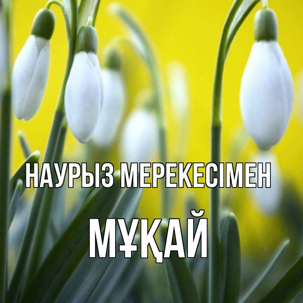 Күн сайын ашық хат с именем, Мұқай Наурыз мерекесімен весенние цветы Онлайн тегін жүктеп алу тілектері бар керемет карта 