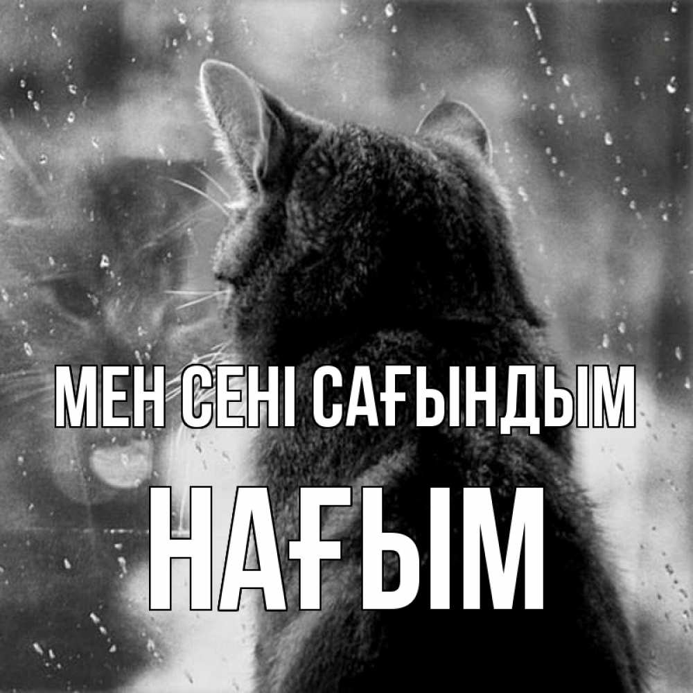 Күн сайын ашық хат с именем, НАҒЫМ Мен сені сағындым скорее ко мне приходи 1 Онлайн тегін жүктеп алу тілектері бар керемет карта 