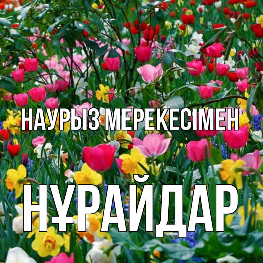 Күн сайын ашық хат с именем, НҰРАЙДАР Наурыз мерекесімен с наурызом праздником весны поздравления для женщины Онлайн тегін жүктеп алу тілектері бар керемет карта 