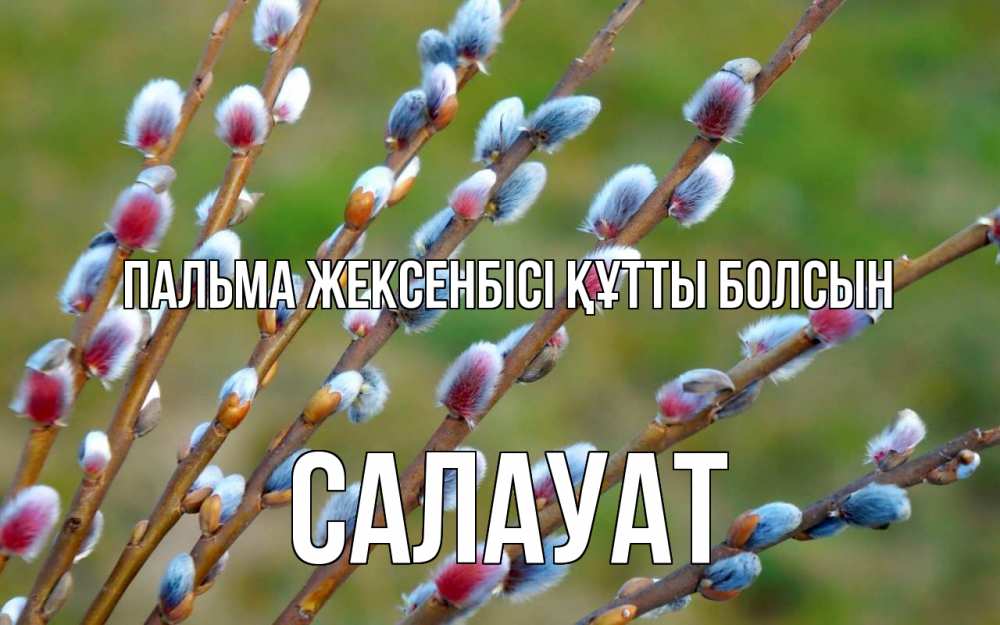 Күн сайын ашық хат с именем, САЛАУАТ Пальма жексенбісі құтты болсын верба Онлайн тегін жүктеп алу тілектері бар керемет карта 